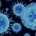 norovirus